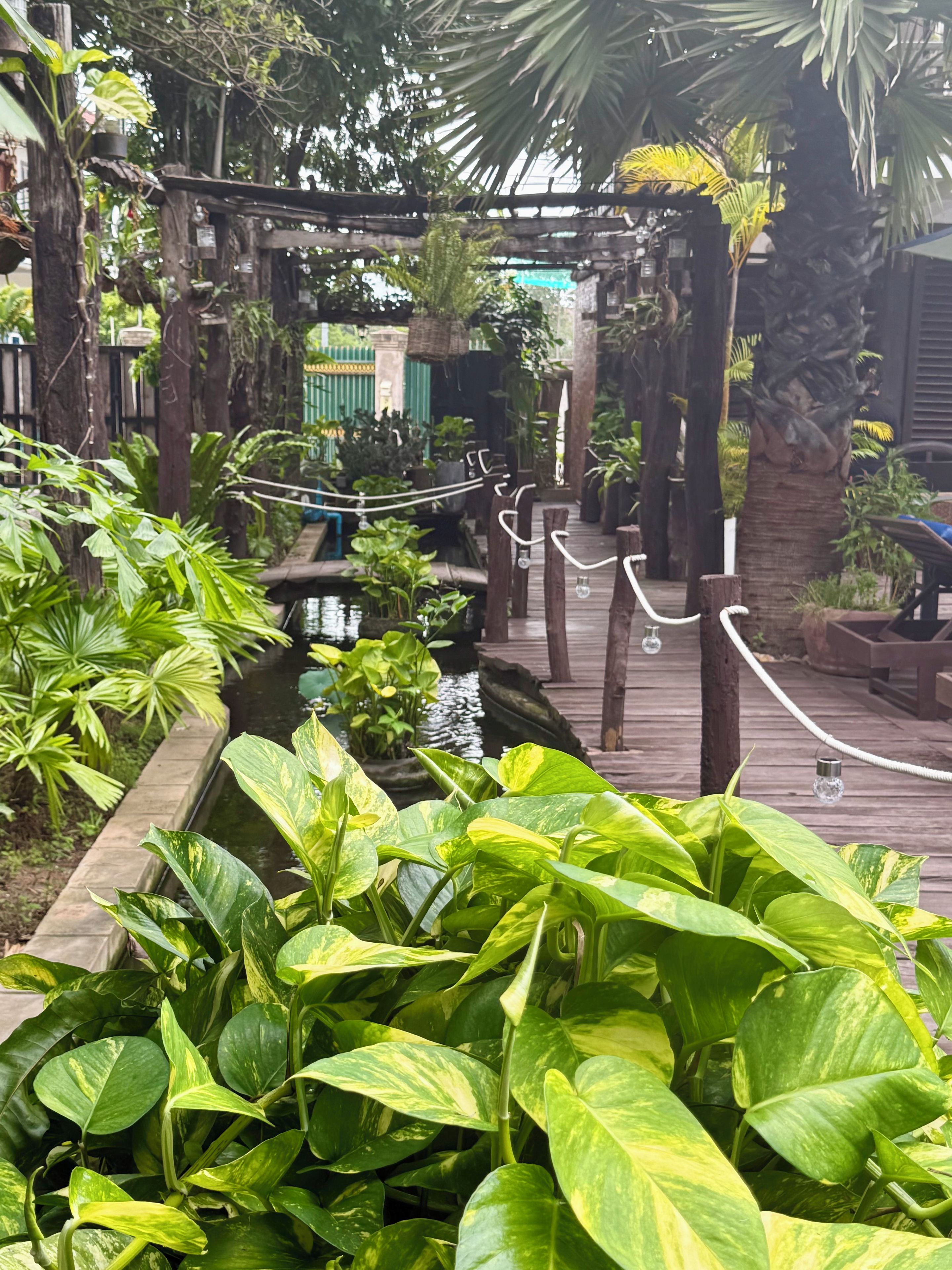 Un exuberante jardín con terraza de madera, un pequeño elemento acuático y diversas plantas tropicales.
