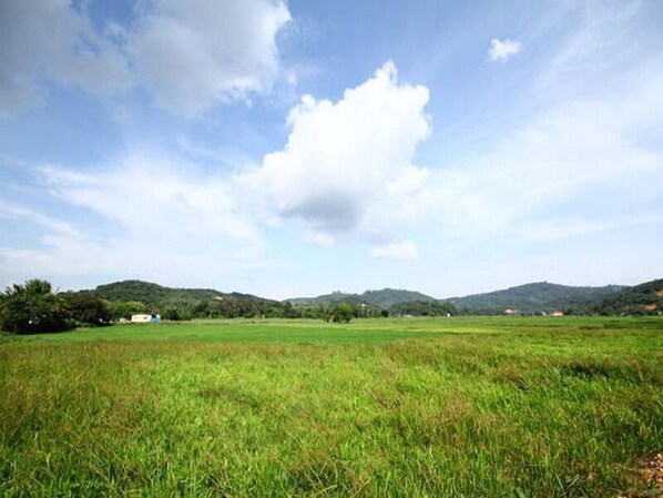 บริเวณที่พัก