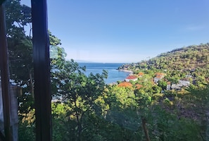 Vista desde la habitación