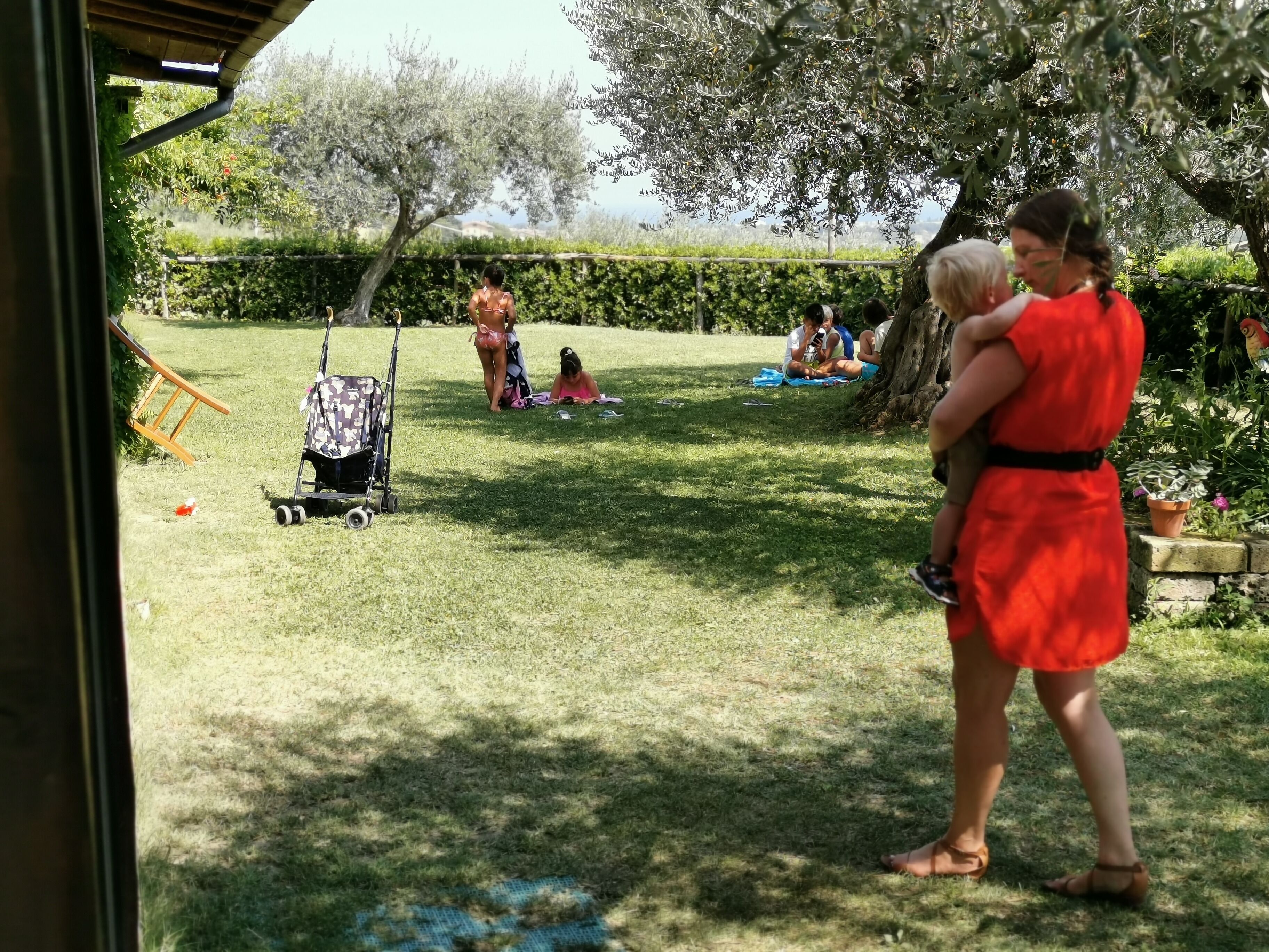 An outdoor area with a grassy lawn, trees, and a playground.