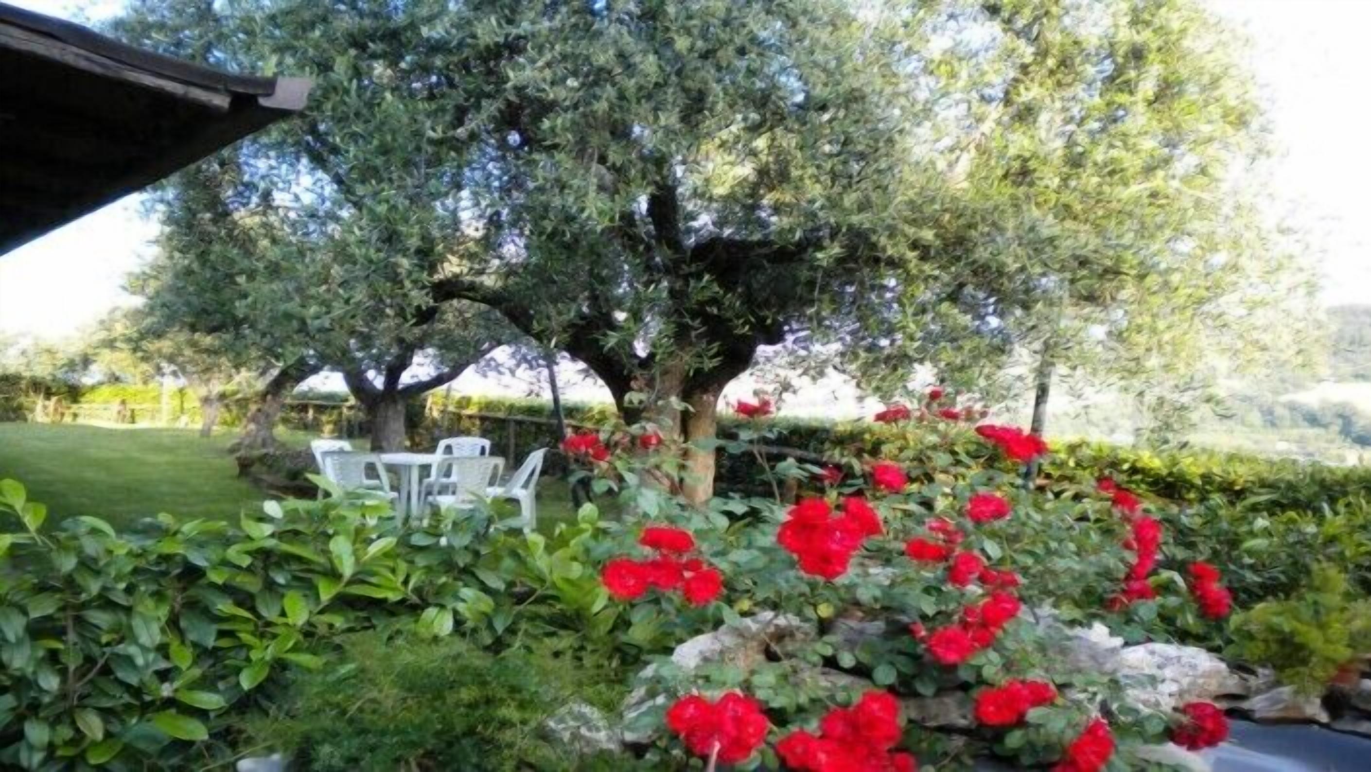 Un jardin avec une table et des chaises, entouré d’arbres et de fleurs rouges.