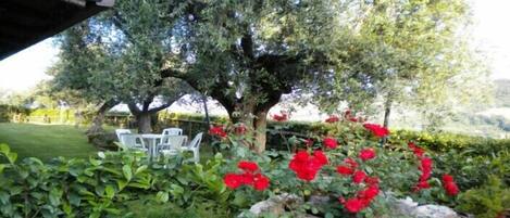 Un jardin avec une table et des chaises, entouré d’arbres et de fleurs rouges.