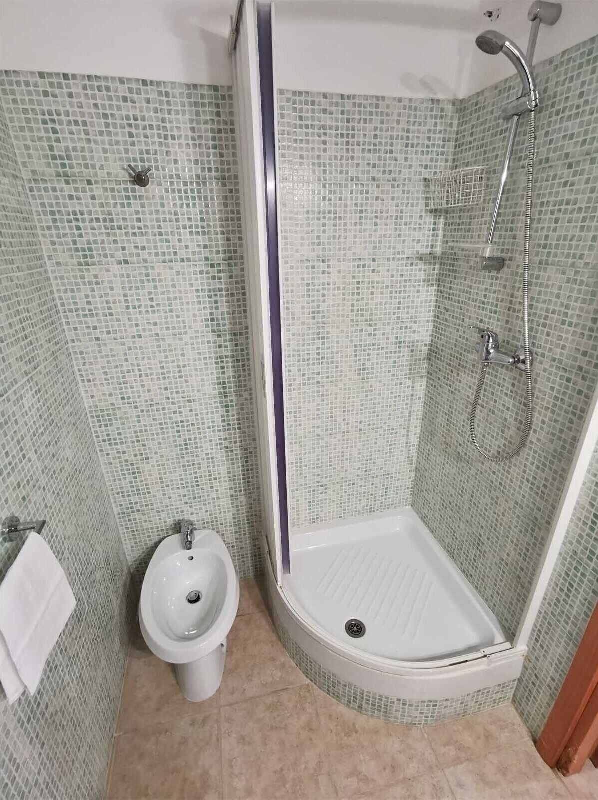 Un baño con ducha, inodoro y bidé.