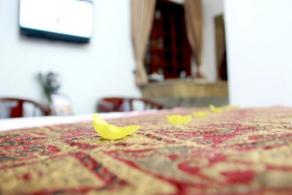 A room with a patterned carpet, a bed, and a wall-mounted TV.