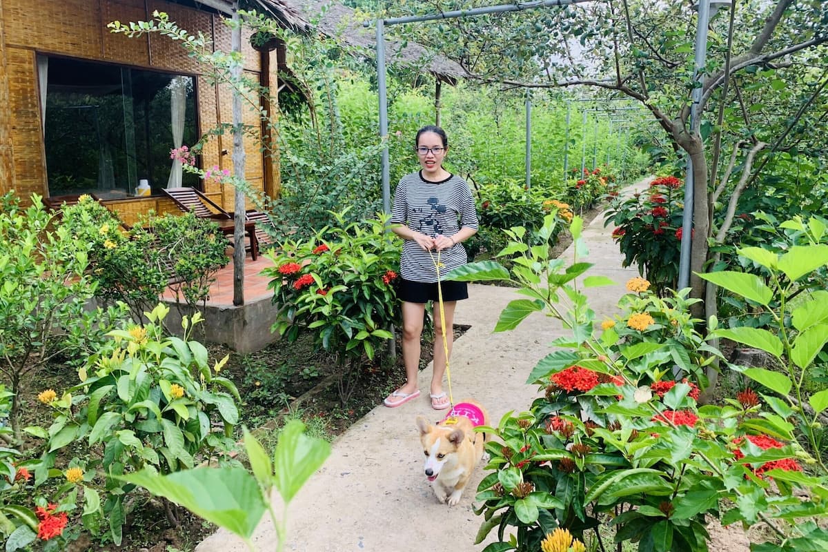A person walking a dog on a paved path in a garden with various plants and flowers.
