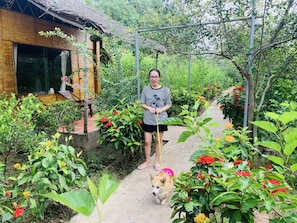 Quadruple Room, Garden View | Minibar, desk, free WiFi, bed sheets