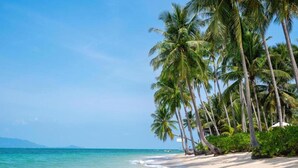 A beach with palm trees and clear blue water. -  Ban Tai Estate Villas (Koh Samui)