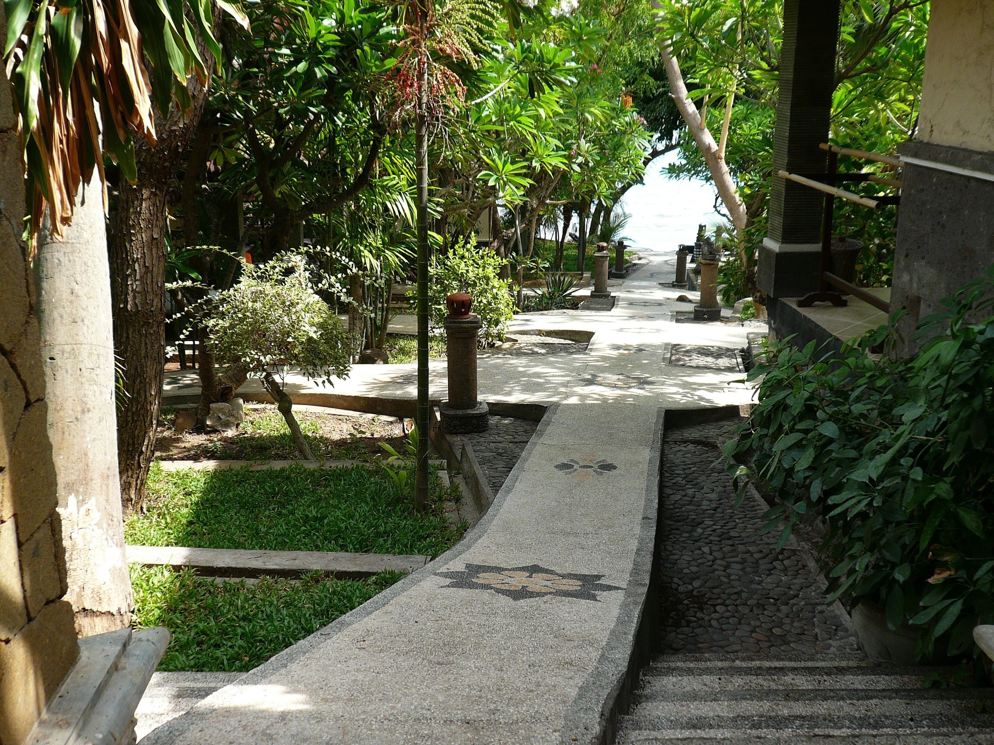 A pathway leading through a garden with stone steps and greenery.