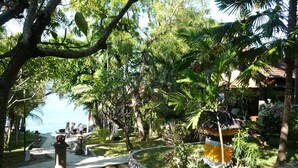 Un camino en un resort tropical, con un paseo bordeado de palmeras que lleva a una zona de piscina.