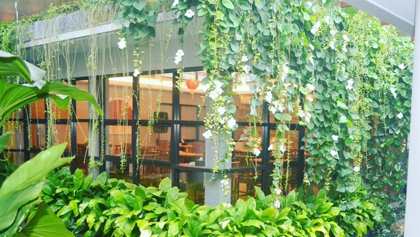 A koi pond with fish, surrounded by lush green plants and a wooden railing. - Grand Laguna Hotel & Villa (Colomadu)