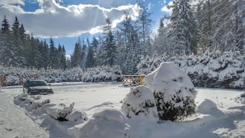 Deportes de invierno y ski
