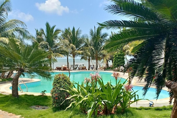 Outdoor pool, sun loungers