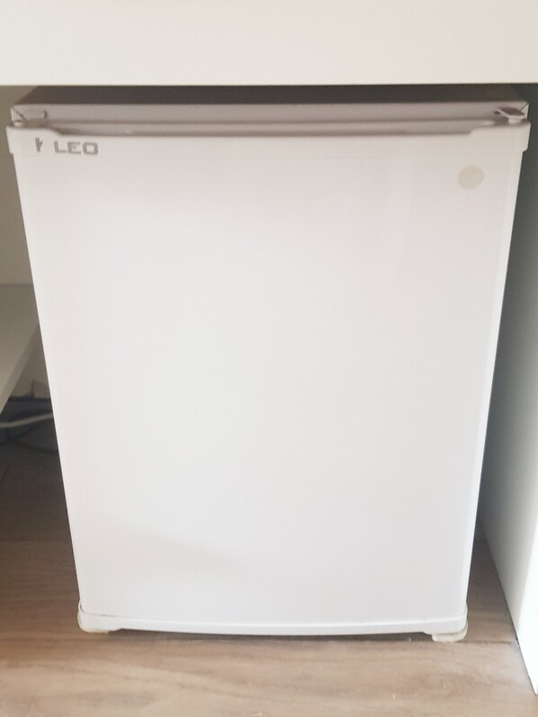 A white refrigerator with the brand name "LEO" on the top.