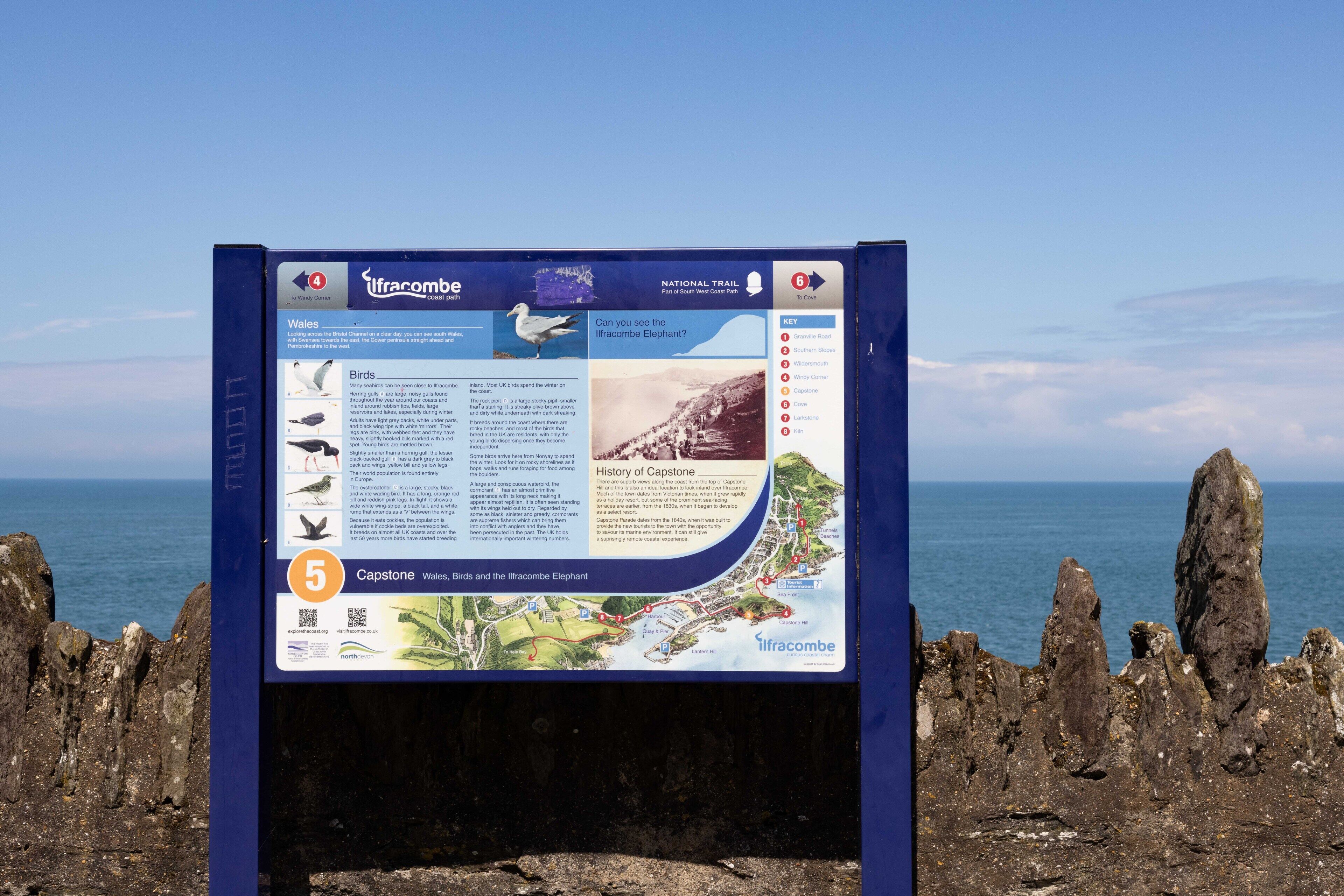A signboard with information about birds and the illicombe elephant.