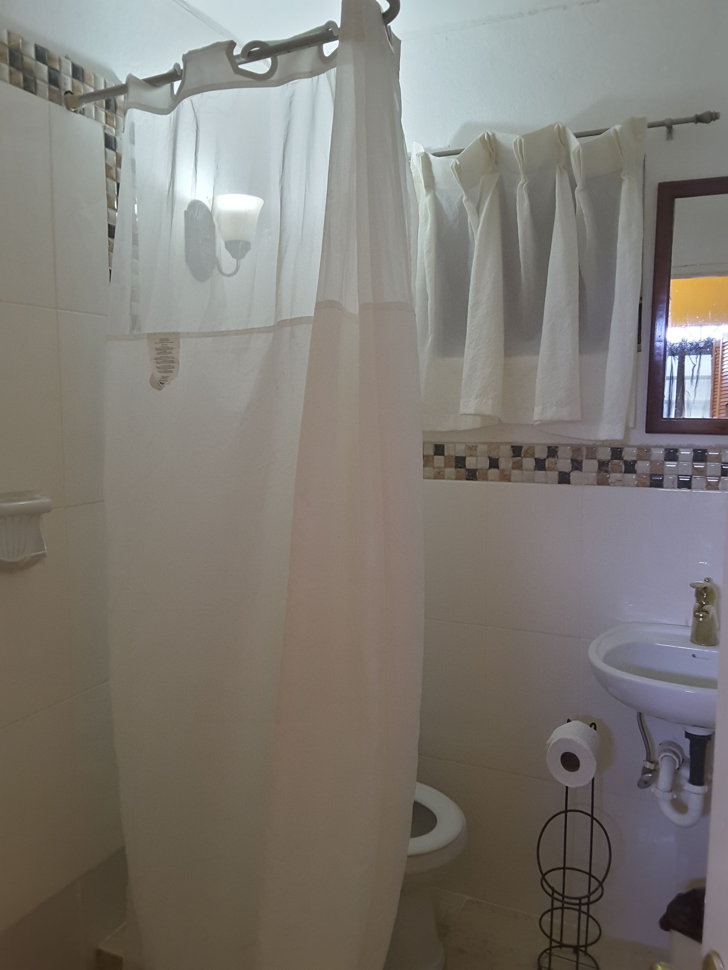 Un baño con cortina de ducha, inodoro, lavamanos y espejo.