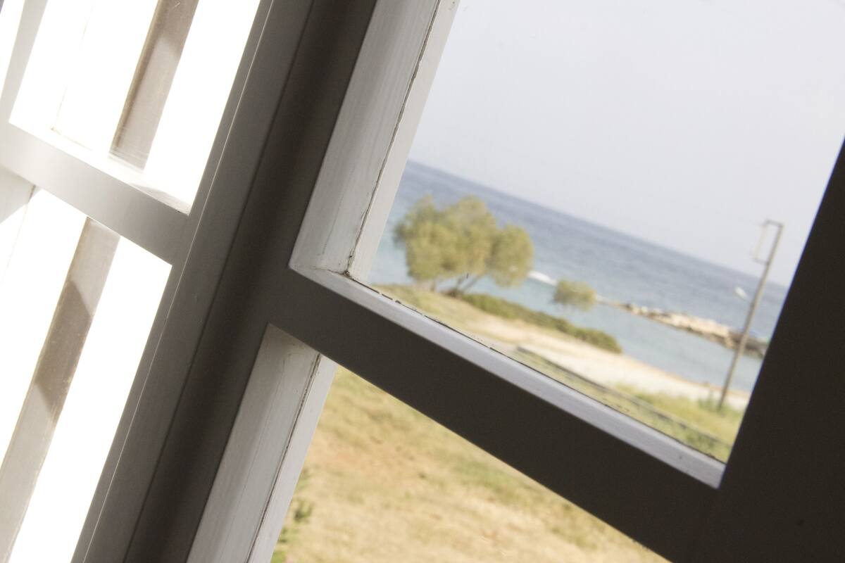 A view through a window with a white frame, overlooking a beach with trees and a clear sky.