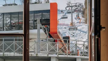 Family Room, Mountain View | View from room