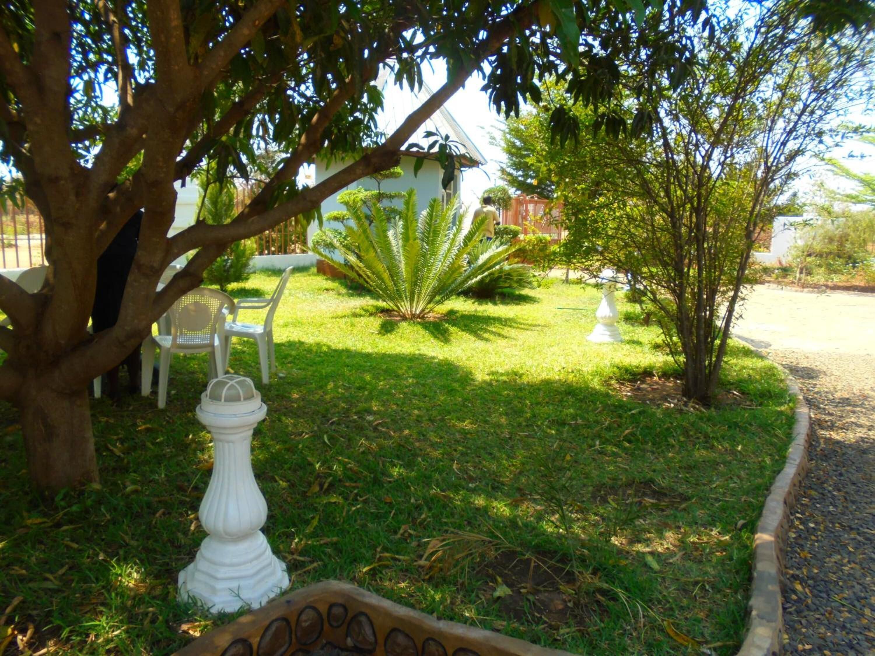 A well-maintained garden with a lawn, a white decorative urn, and a small tree.