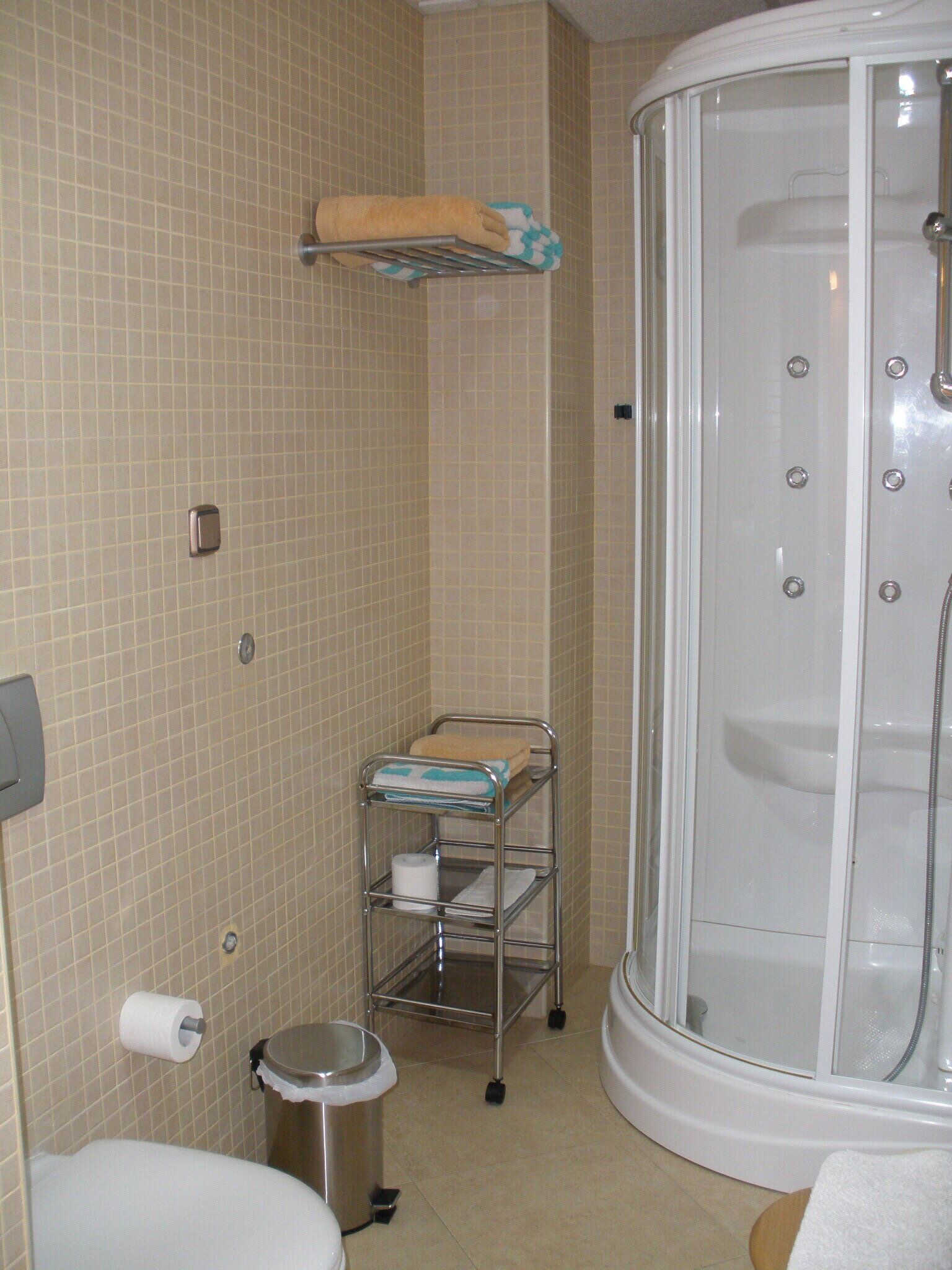 A bathroom with a shower, toilet, and a towel rack with towels.