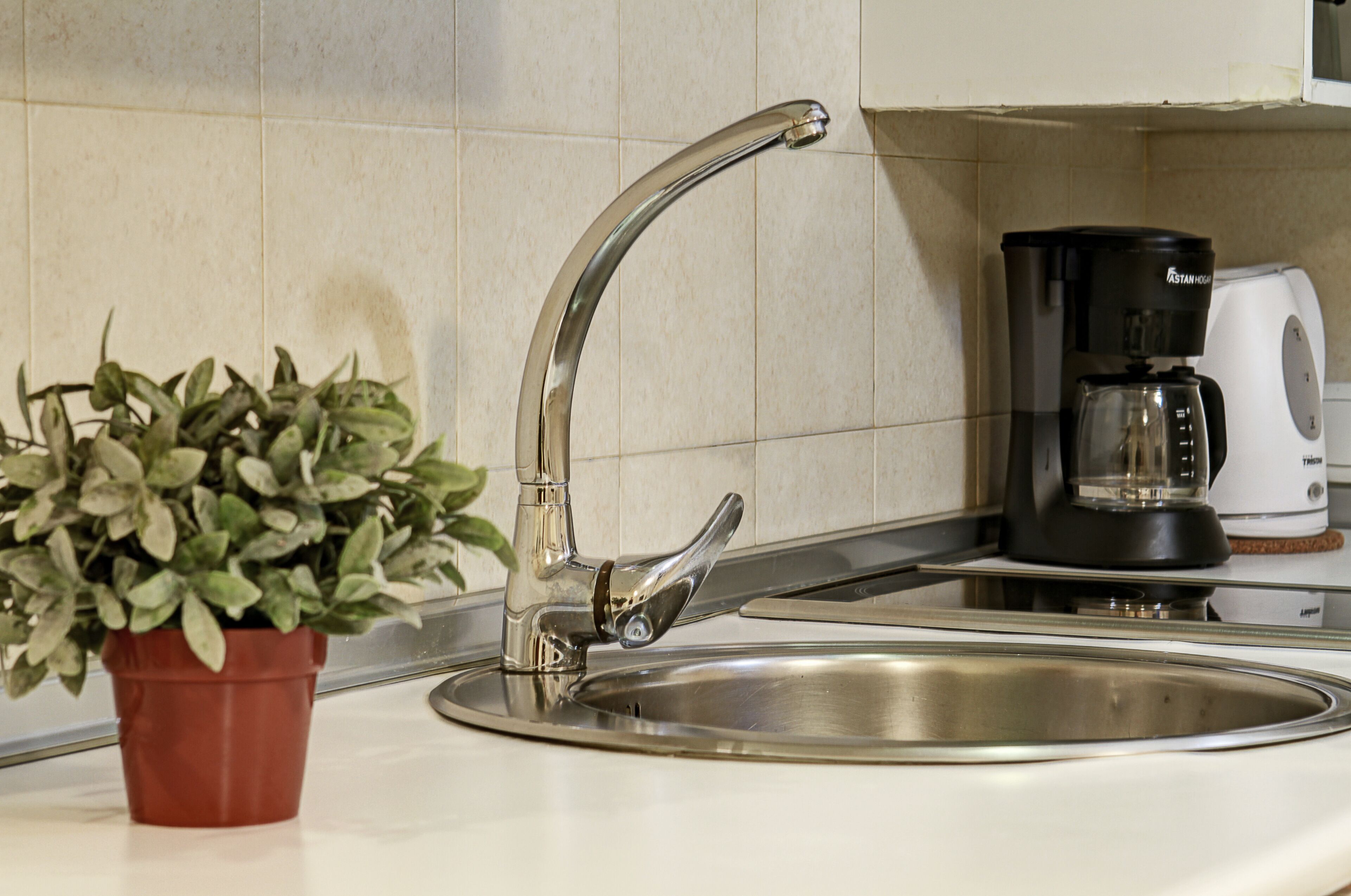 A kitchen with a stainless steel sink, a potted plant, and a coffee maker.