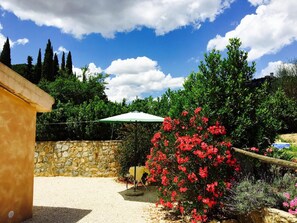 Property grounds - B&B 8380 (Manciano)