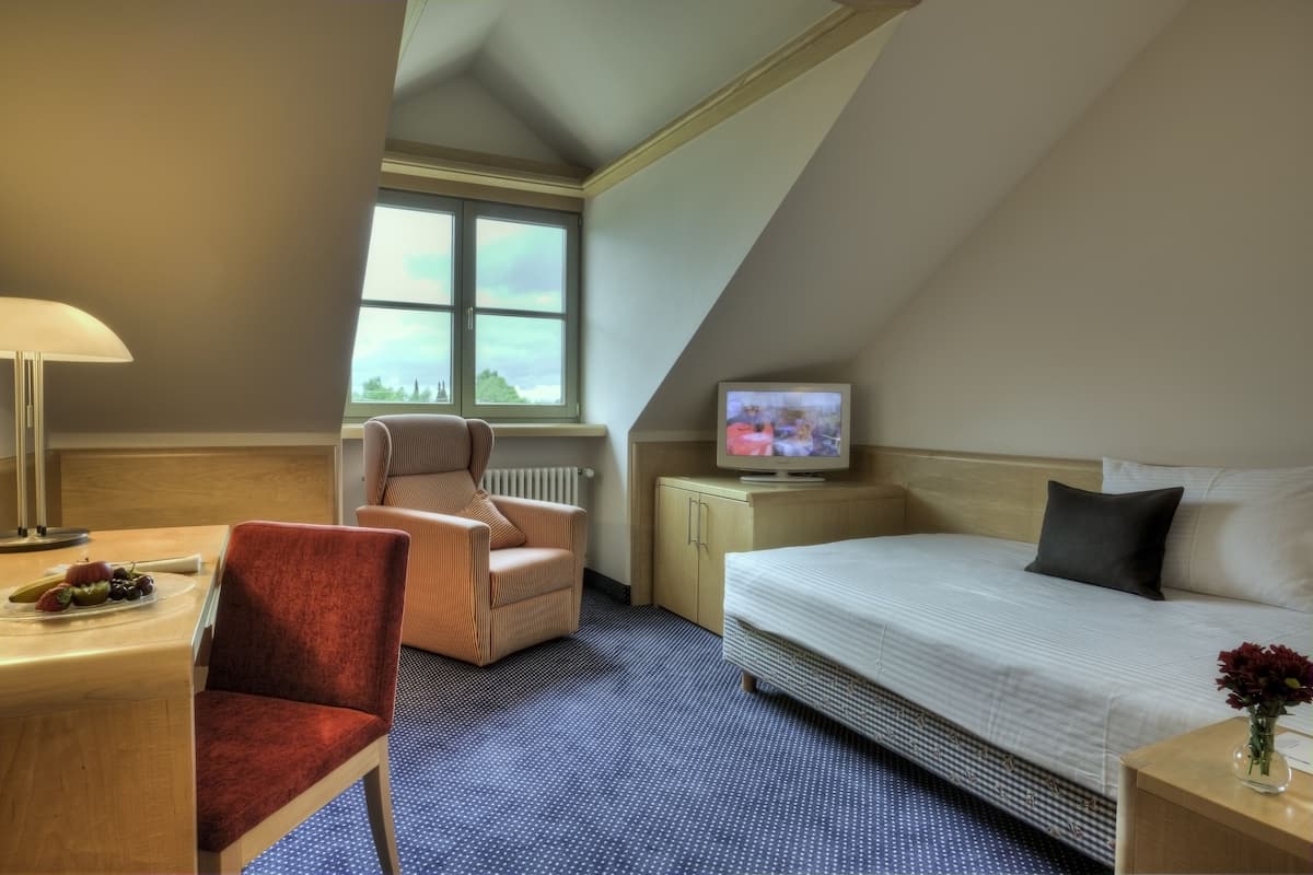 Comfort Single Room