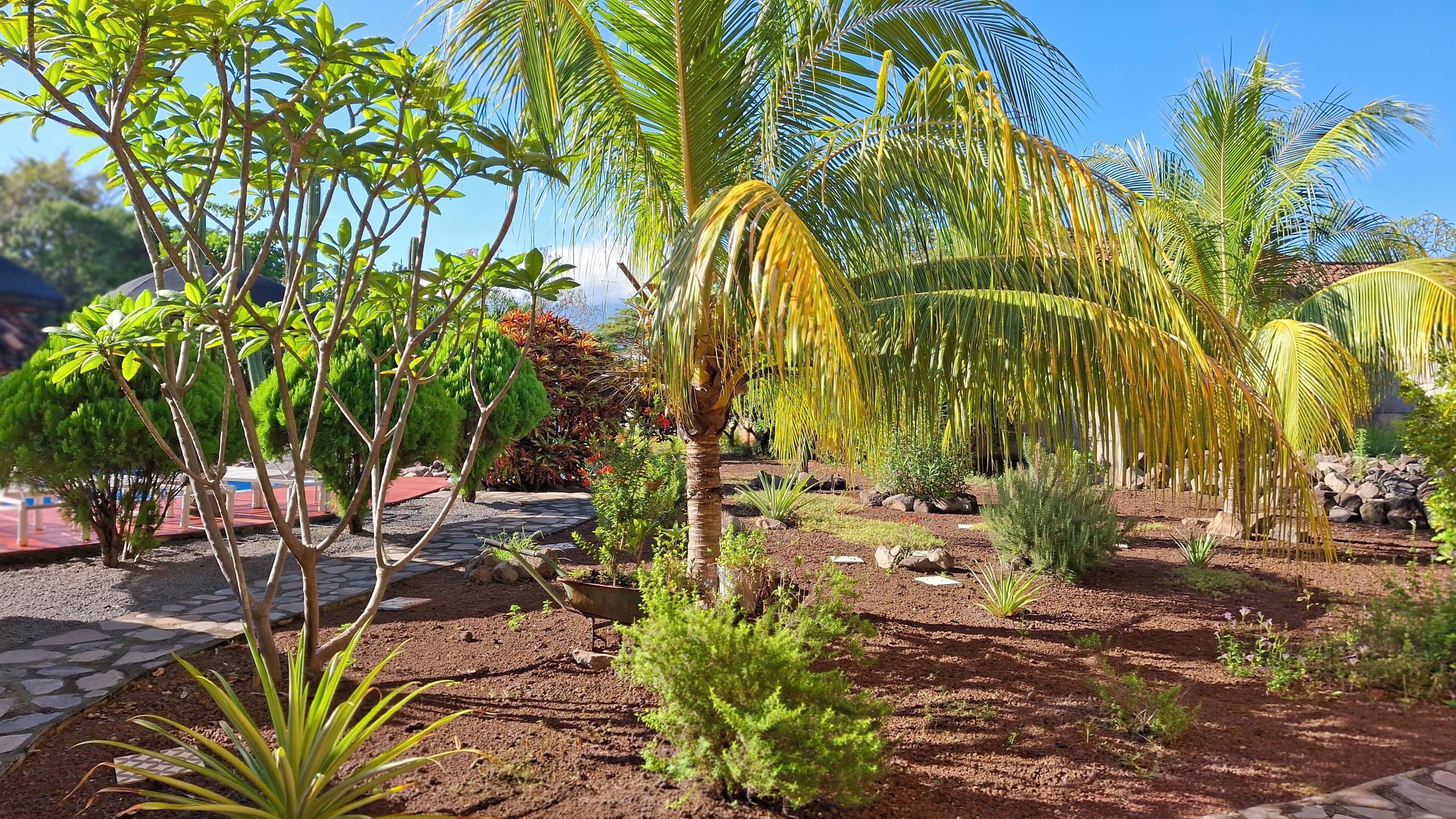 1 bedroom, minibar, in-room safe, desk