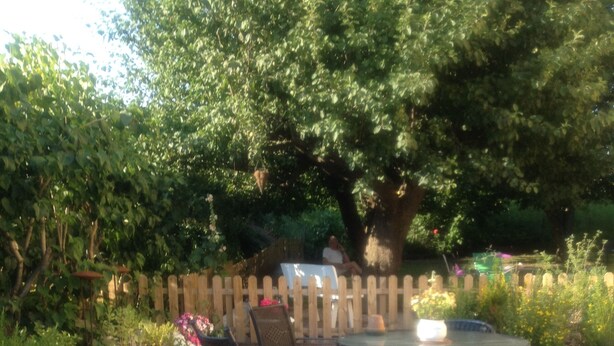 Un patio al aire libre con una mesa redonda y sillas, rodeado de plantas en macetas y una valla de madera.