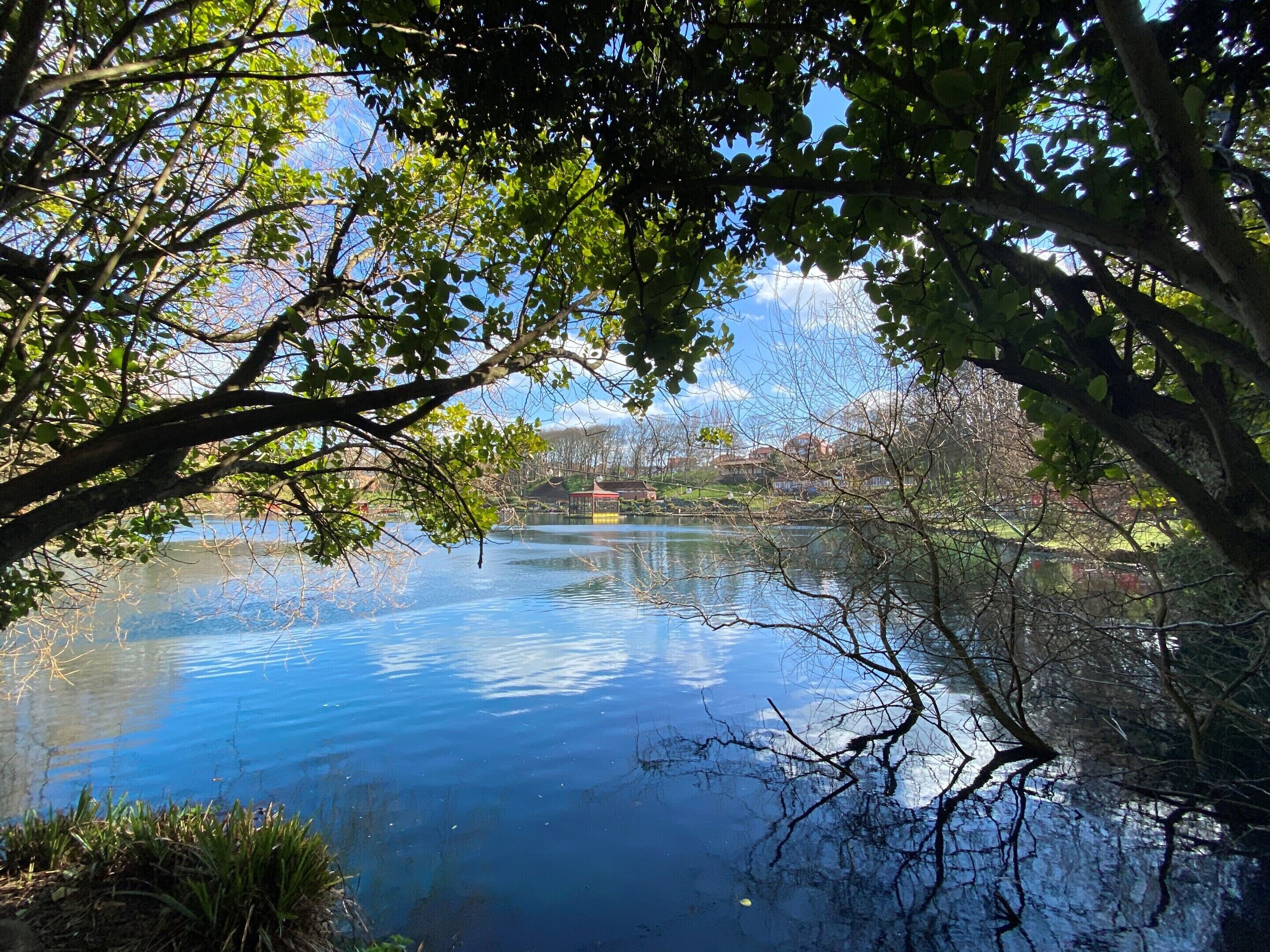 Ein ruhiger See, von Bäumen in den Blick eingefasst, mit blauem Himmel und Gebäuden in der Ferne.