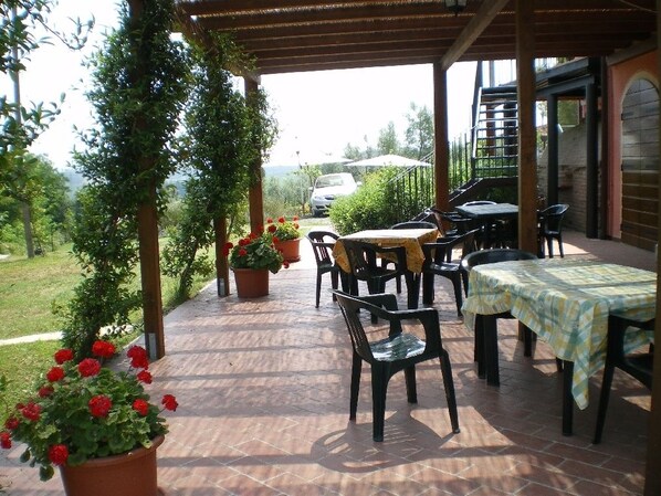 Local cuisine - Terre di Toscana (Terricciola)