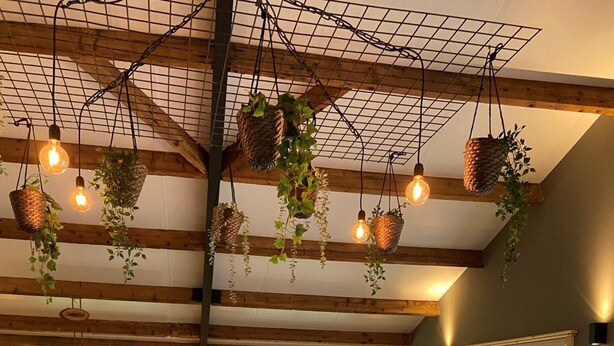 Un comedor amplio con mesas y sillas de madera, cestas colgantes con follaje, y ventanas grandes que dejan entrar luz natural.