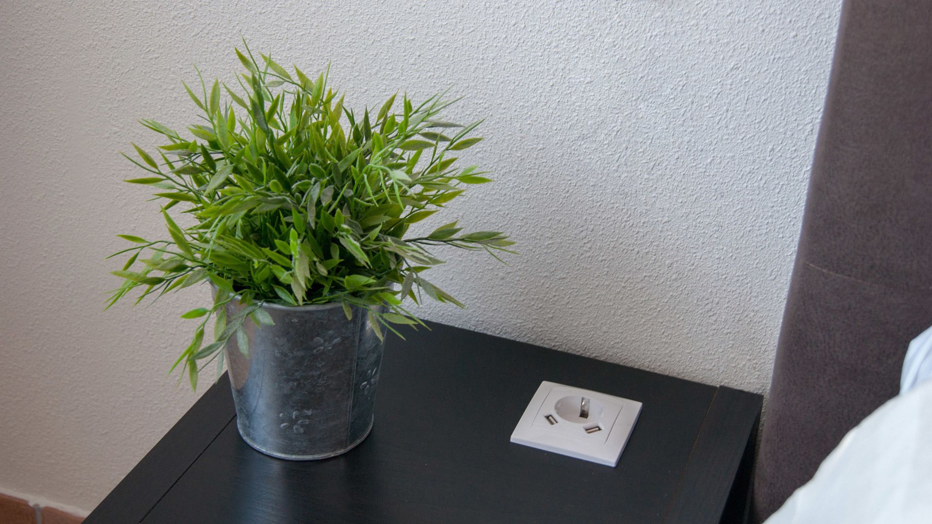Una planta en test amb una taula negra al costat d'una paret blanca amb una presa elèctrica.