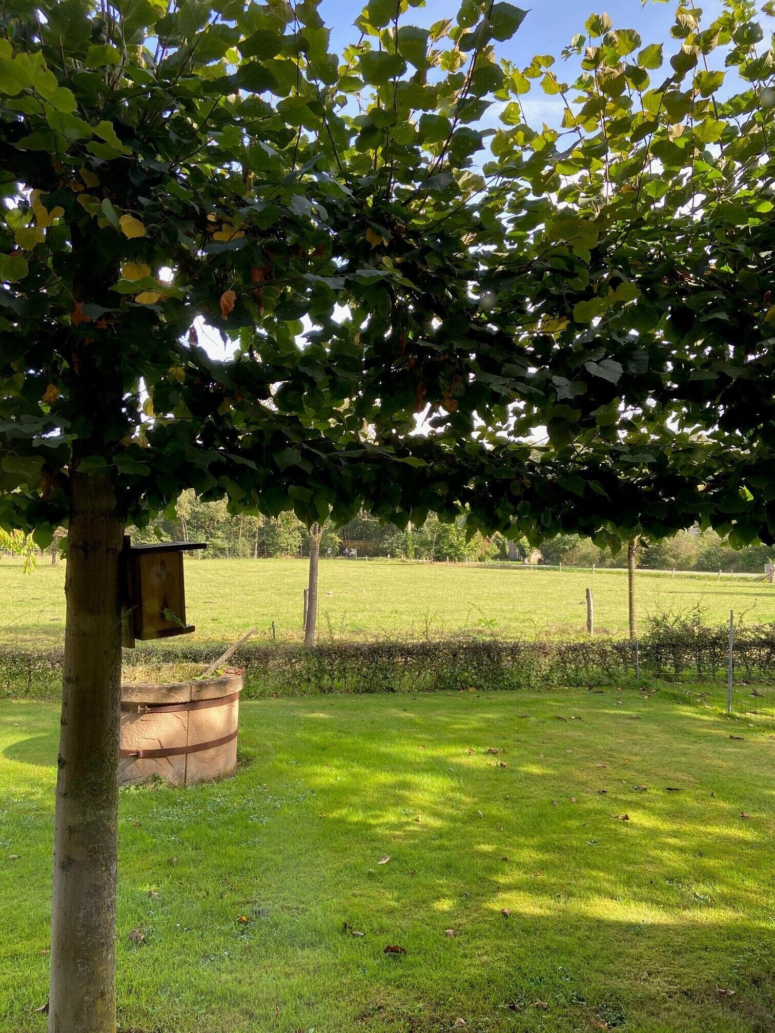 vacation home | terrace/patio