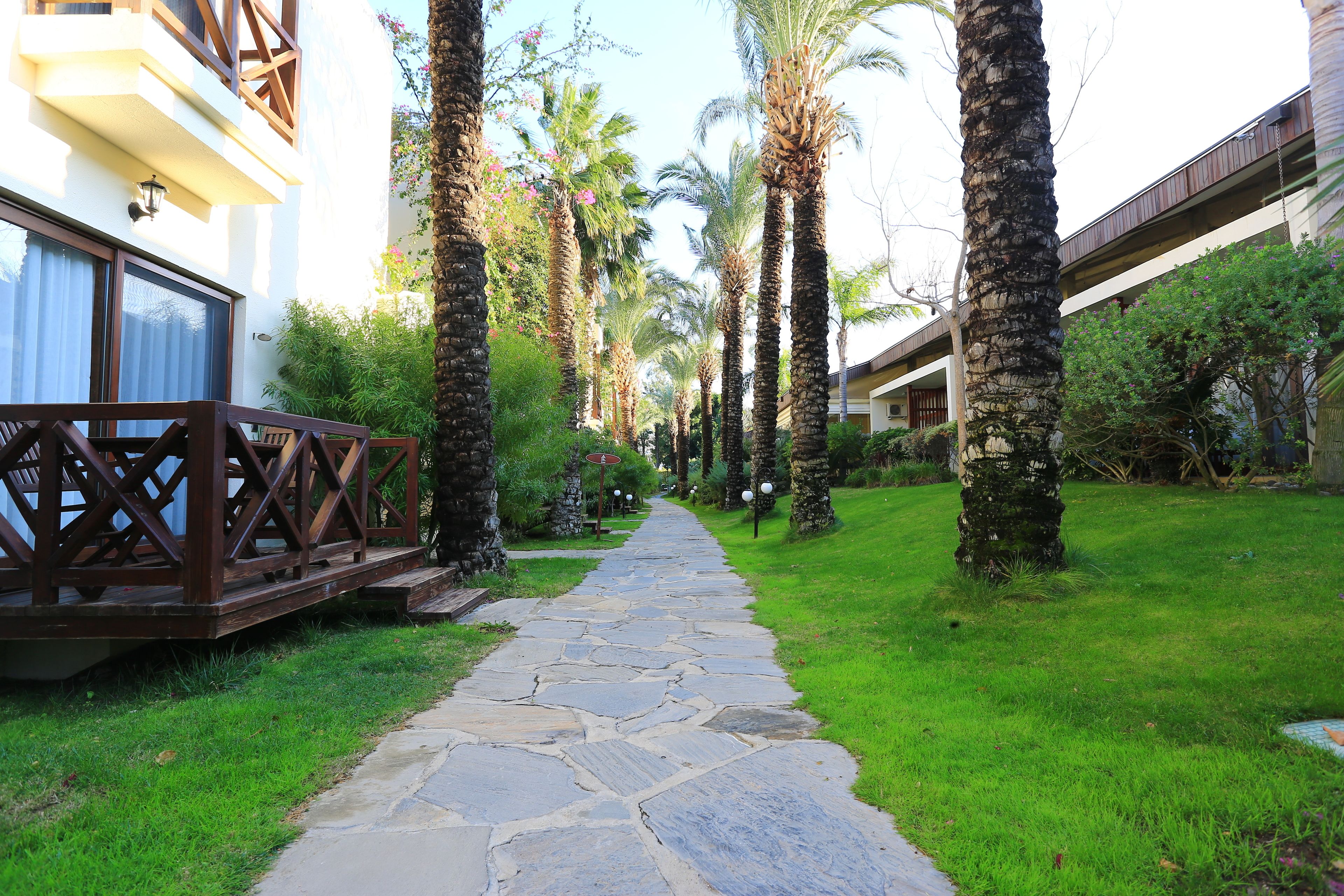 A stone pathway flanked by palm trees and greenery, leading to a building with balconies.