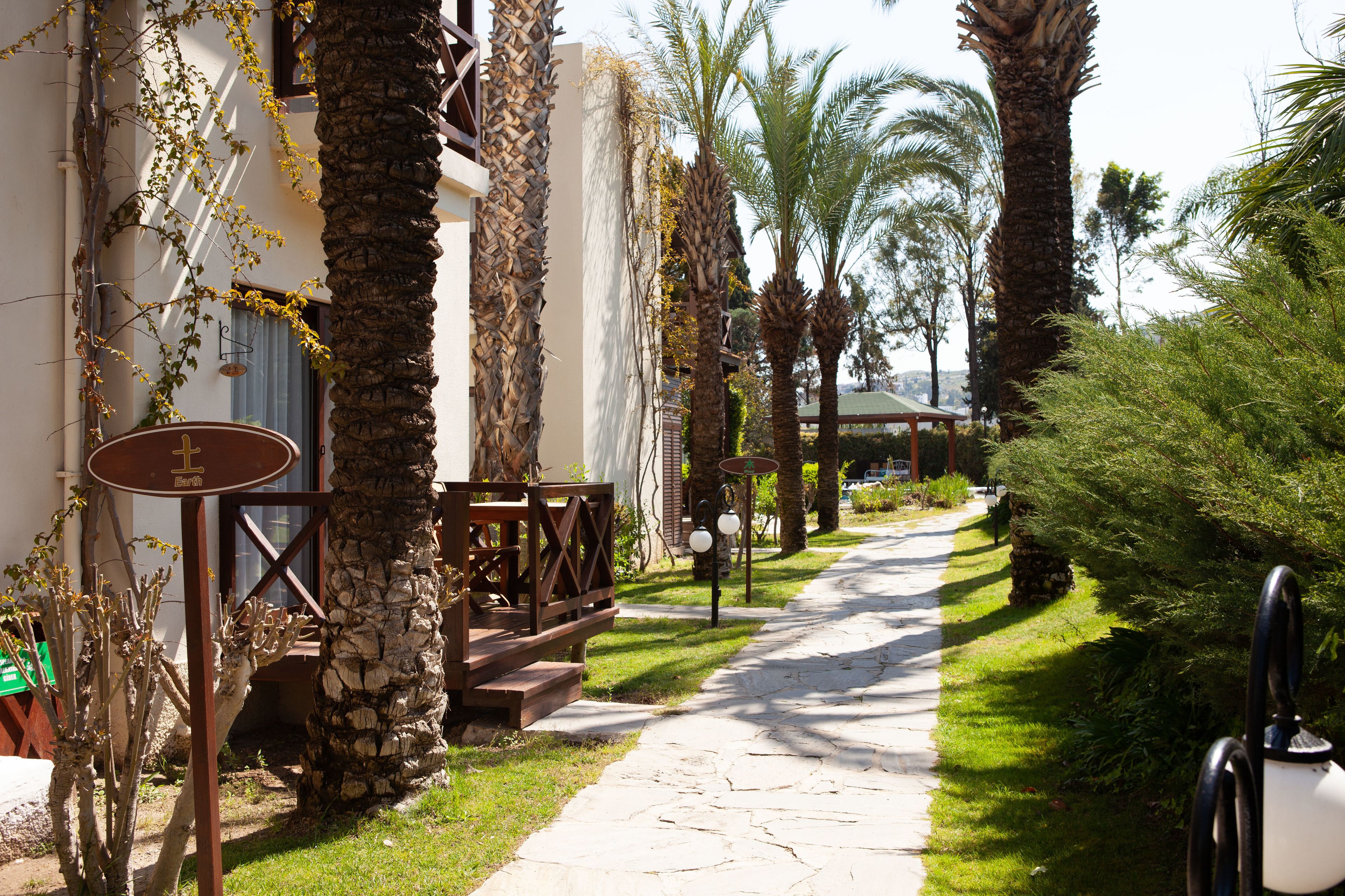 A pathway lined with palm trees and a building with a stone facade.