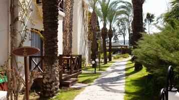 A pathway lined with palm trees and a building with a stone facade.