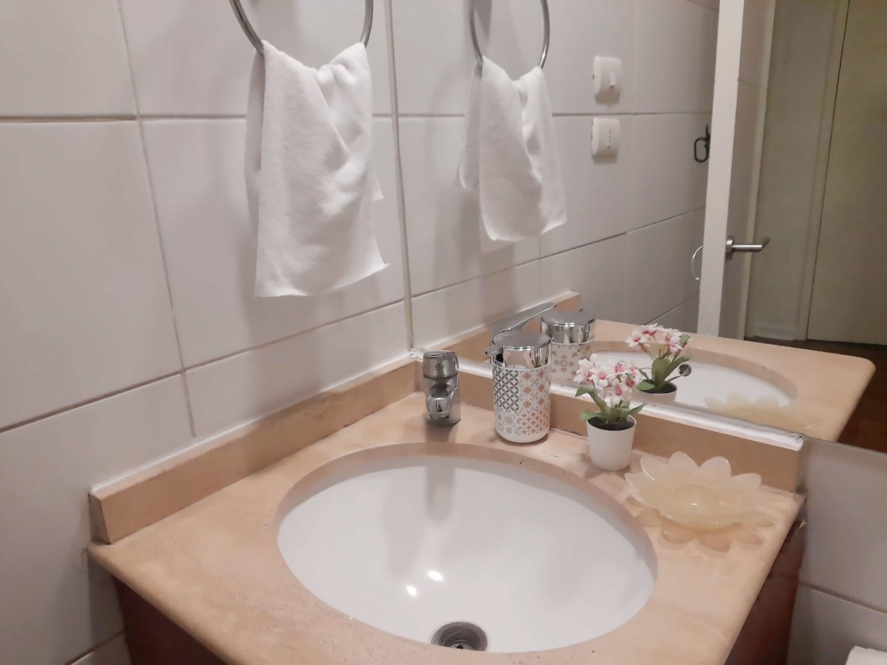 Une salle de bain avec un grand lavabo, deux porte-serviettes, un miroir et une petite plante en pot.