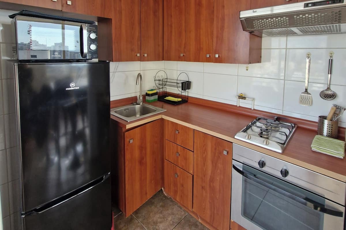 Loft luxo, vista para a cidade | Cozinha privada | Geladeira, micro-ondas, fogão, cooktop