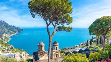 A coastal view with a prominent tree, a church with two domes, and a clear blue sea.