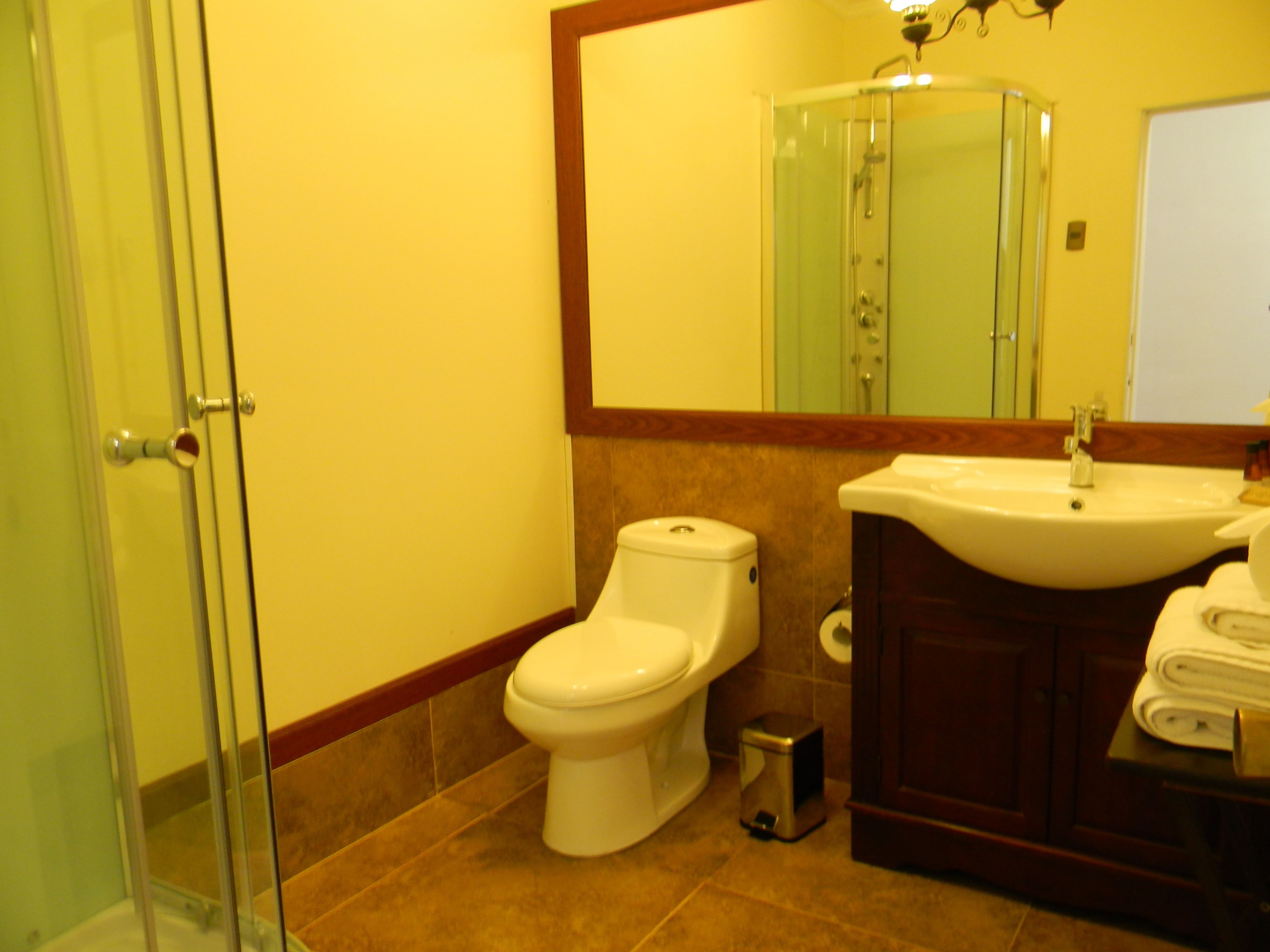 A bathroom with a glass shower enclosure, a white toilet, a sink with a mirror above it, and a small trash bin.