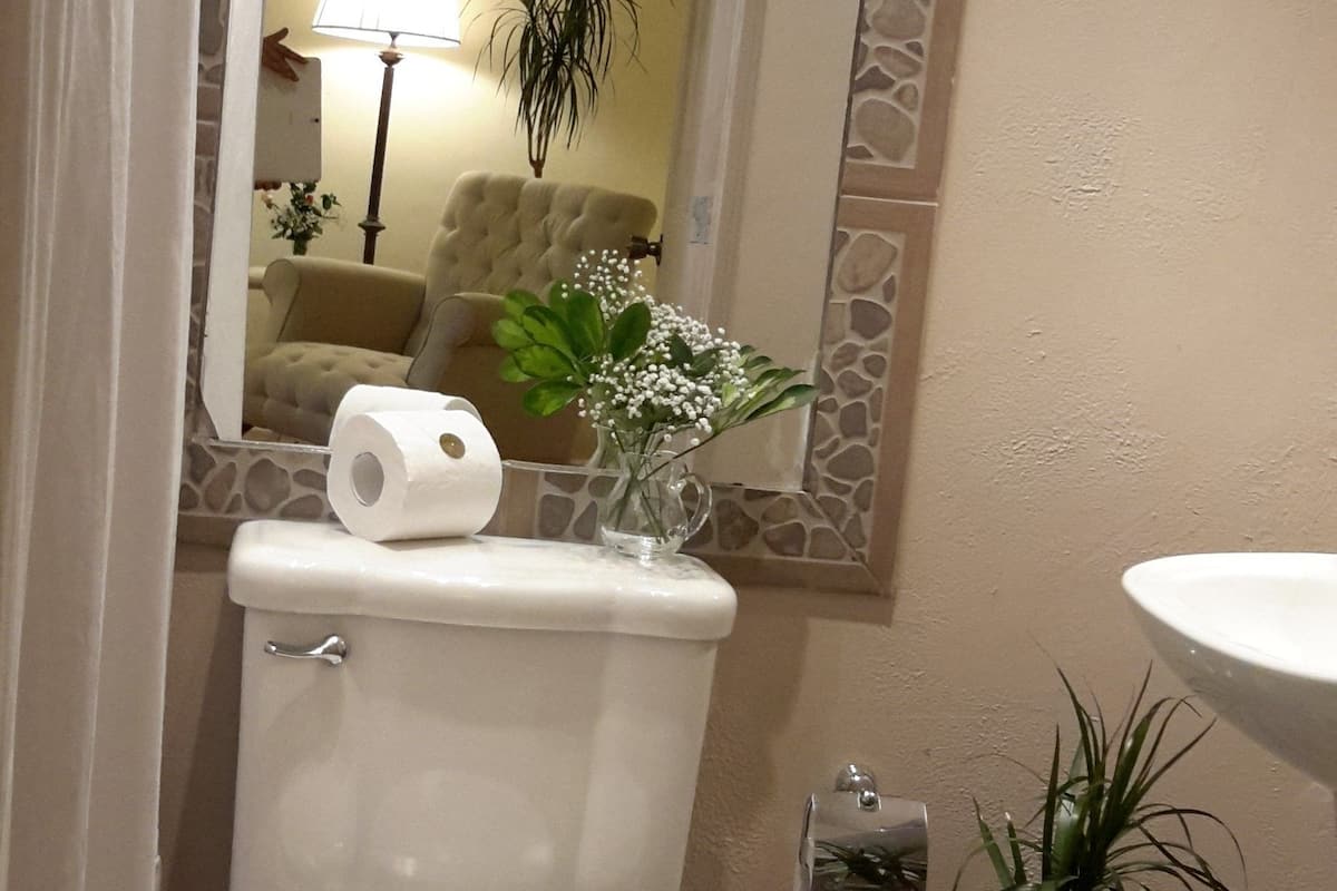 deluxe suite, 2 single beds | bathroom | shower, rainfall showerhead, free toiletries, hair dryer