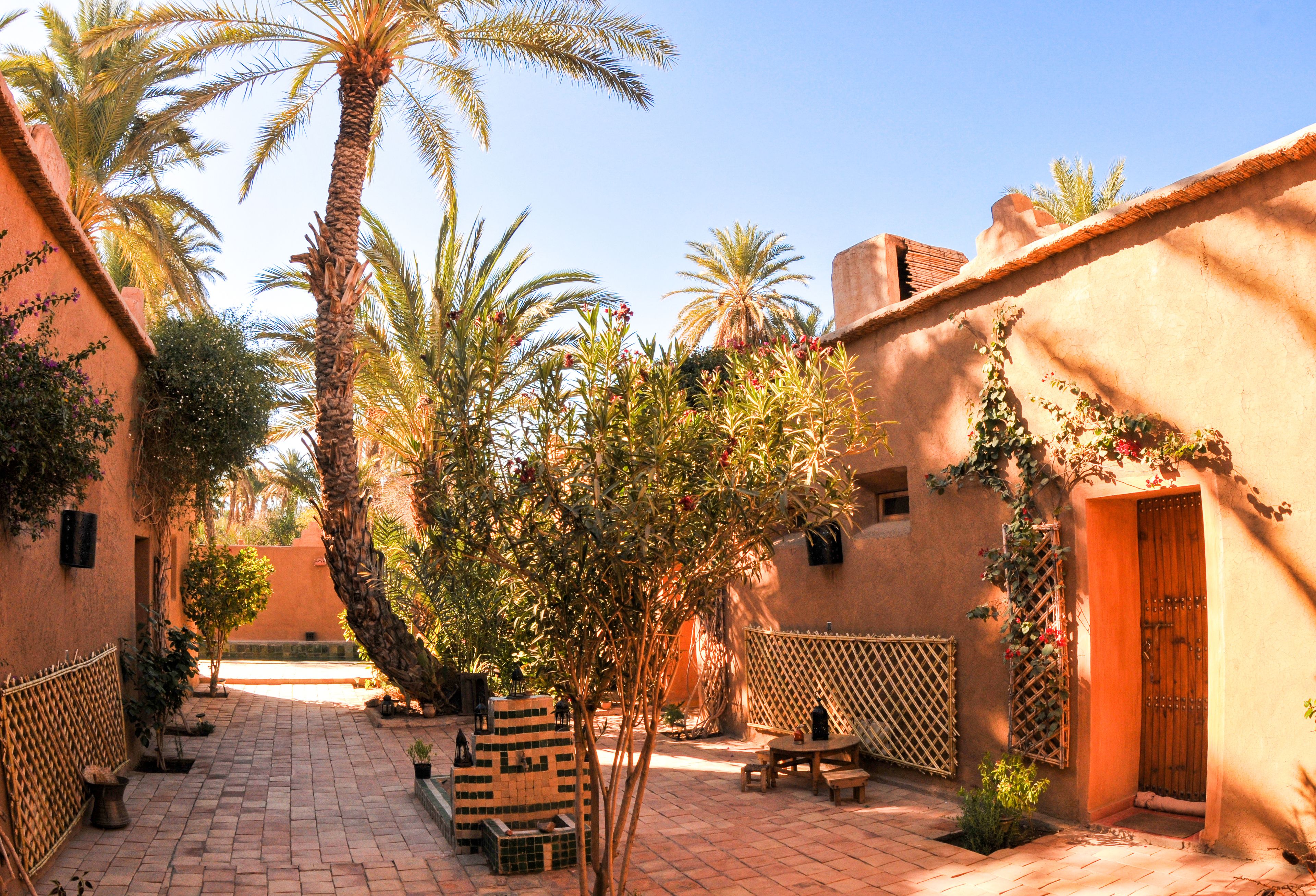 A courtyard with palm trees, a wooden door, and a tiled floor.