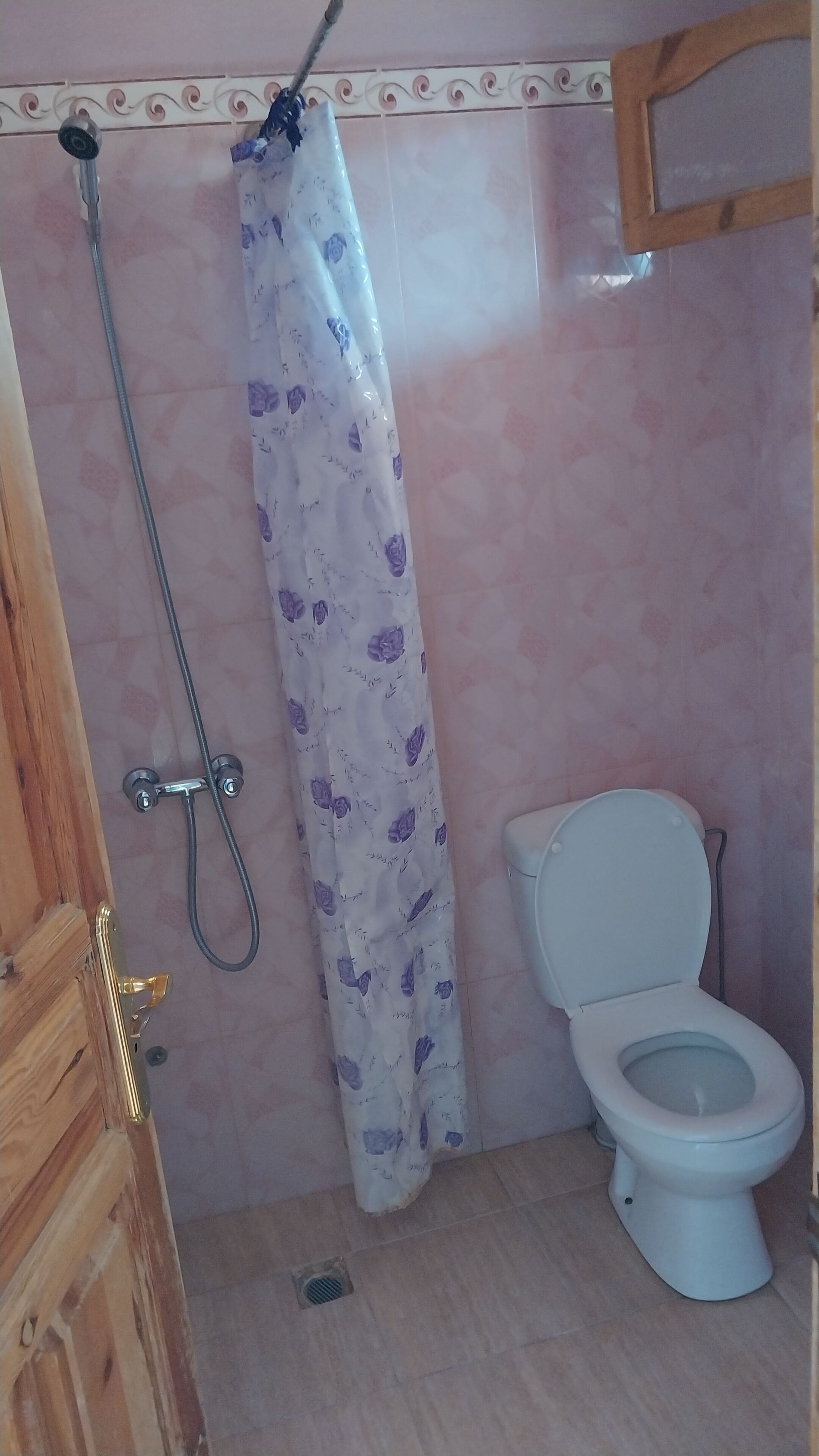A bathroom with a shower, toilet, and a wooden door.