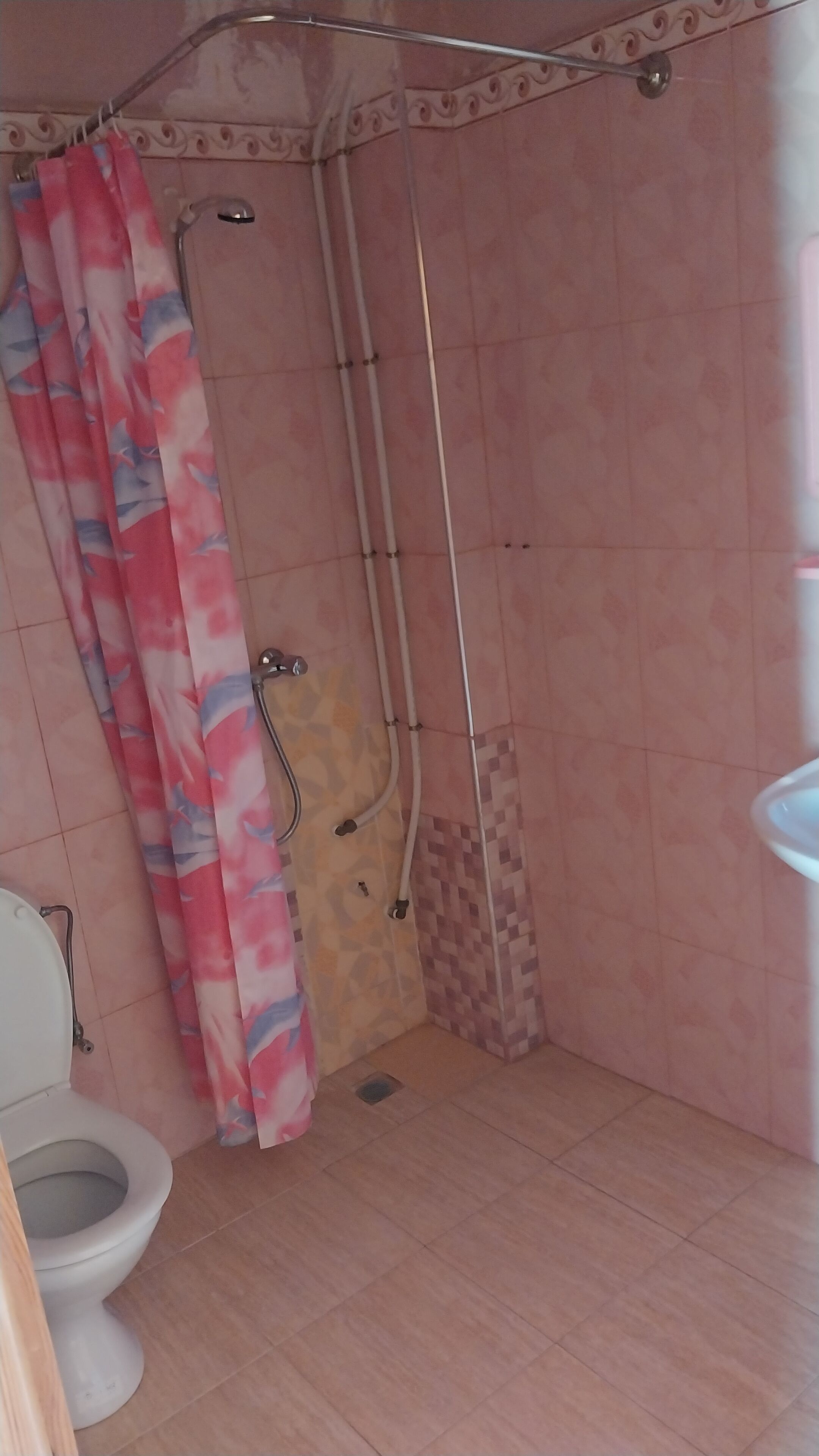 Une salle de bain avec une douche, des toilettes et un lavabo.