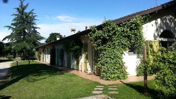 Esterni
