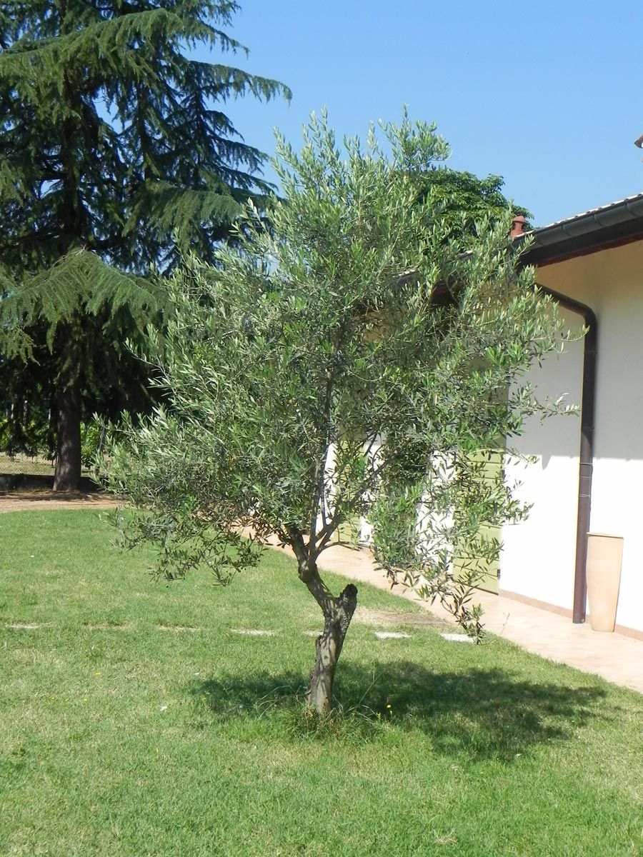 Aussenbereich