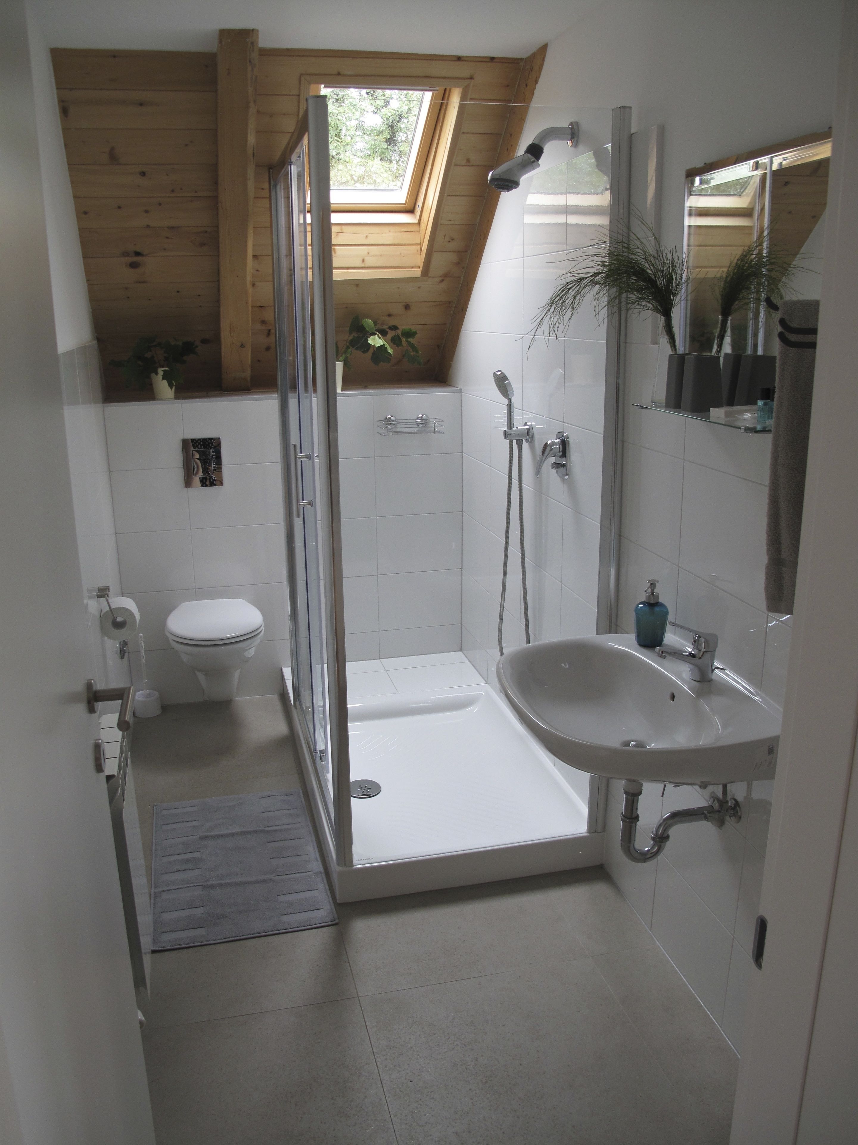 A modern bathroom with a skylight, a shower, a toilet, and a sink.