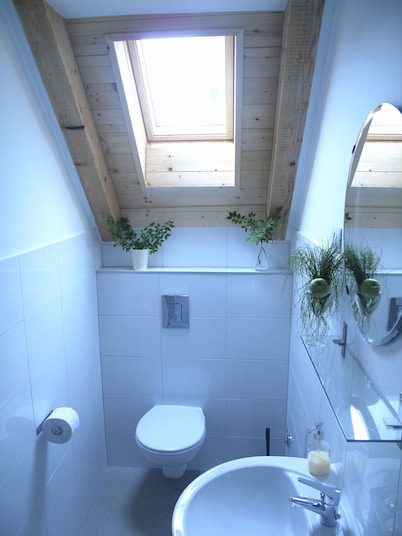Guesthouse Bor