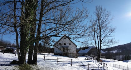 Guesthouse Bor