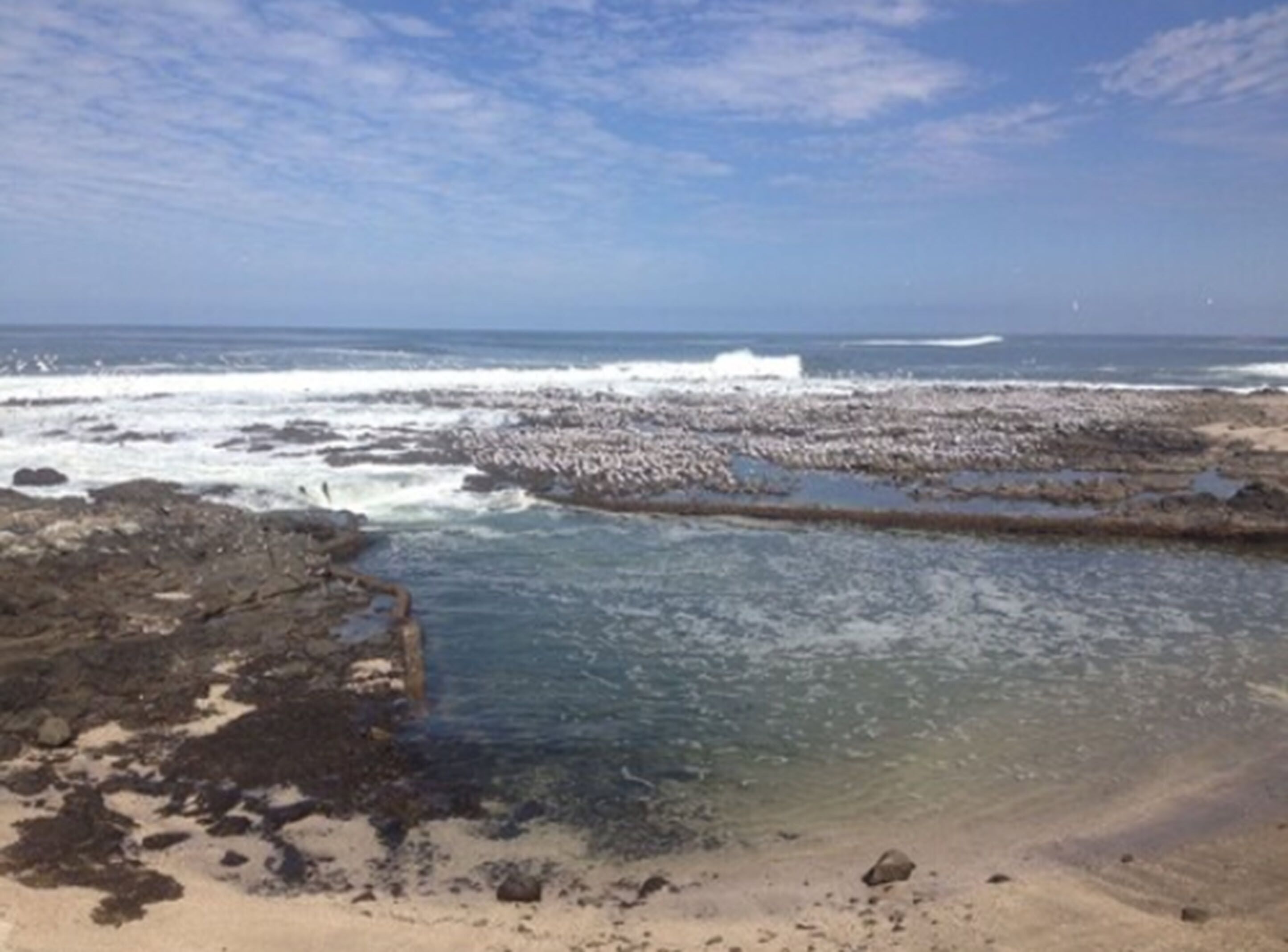 Un rivage rocheux bordé d’une eau claire et de vagues.